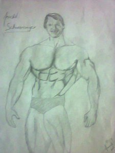 225x300 bodybuilding drawings fine art america - Bodybuilder Drawing