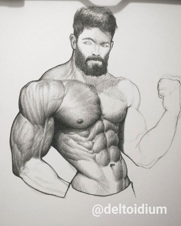 Bodybuilder Drawing at Explore collection of