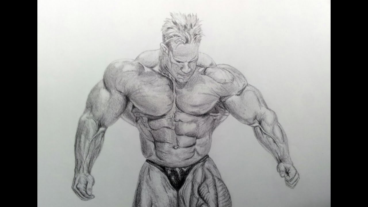 Bodybuilder Drawing at PaintingValley.com | Explore collection of