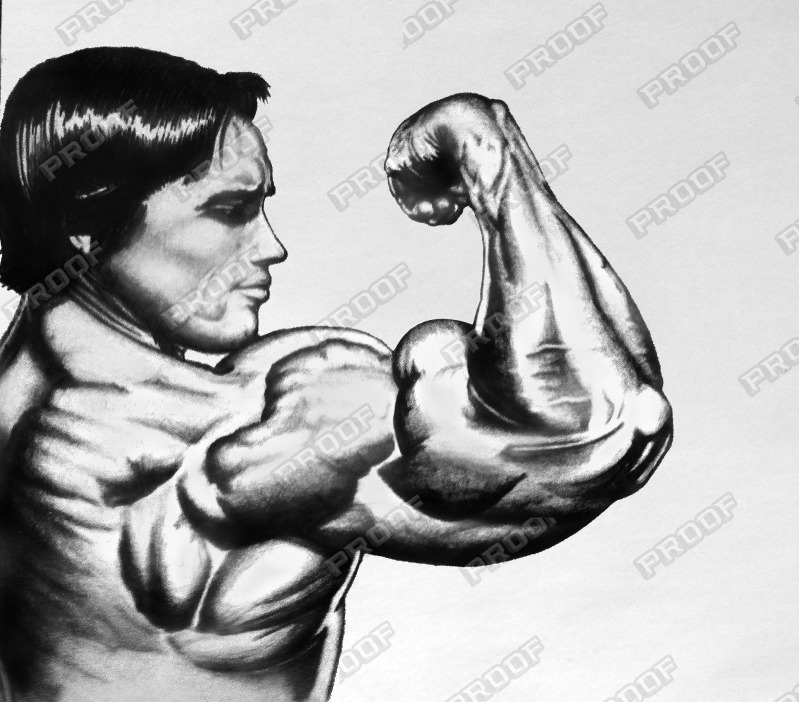 799x702 so you like drawings official ifbb edition - Bodybuilder Drawing