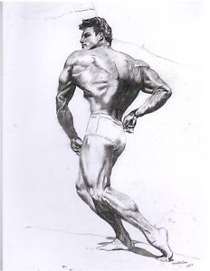232x300 bodybuilder steve reeves mr world bodybuilding muscle pencil - Bodybuilder Drawing