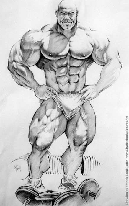 Bodybuilder Drawing at PaintingValley.com | Explore collection of