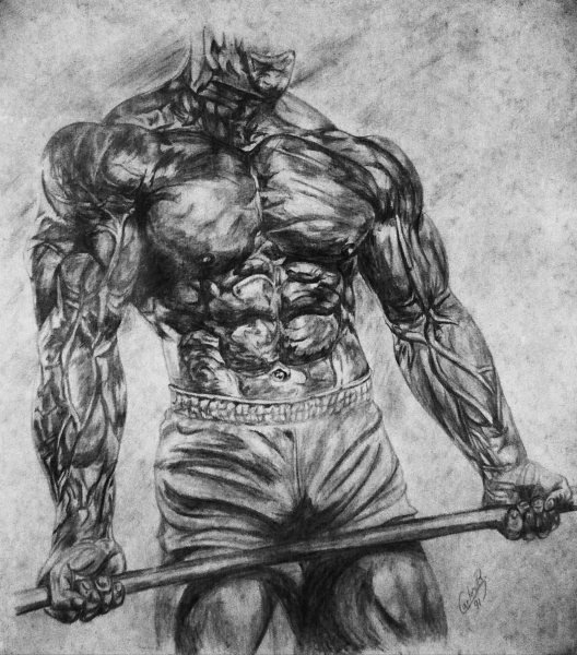 528x600 artwork - Bodybuilder Drawing