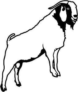 254x300 Boer Goat Decal Stoa - Boer Goat Drawing
