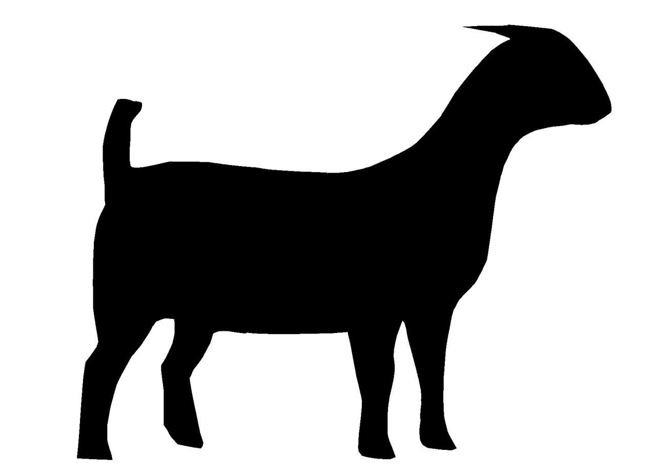 1280x929 Boer Goat Silhouette Great Free Clipart, Silhouette, Coloring - Boer Goat Drawing
