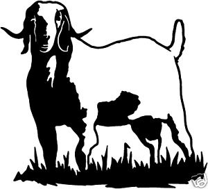 300x272 Collection Of Free Goat Drawing Boer Download On Ui Ex - Boer Goat Drawing