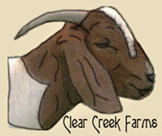550x462 Goat Drawings - Boer Goat Drawing