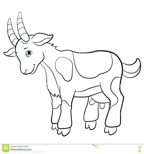 480x513 t coloring pages billy ts gruff - Boer Goat Drawing