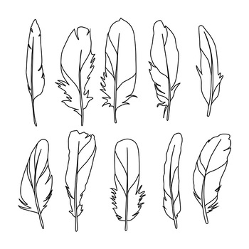 350x350 feather clipart, boho feather clipart, tribal clipart, bird - Boho Drawings