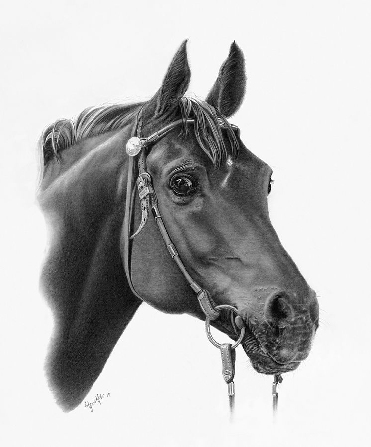 746x900 bolero - Bolero Drawing