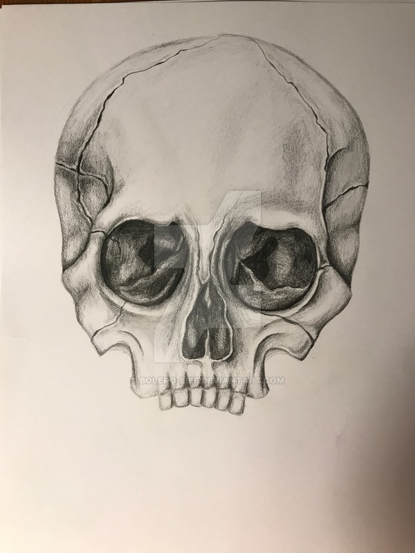 600x800 skull drawing - Bolero Drawing