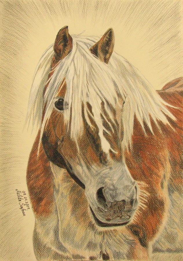 632x900 bolero drawing - Bolero Drawing