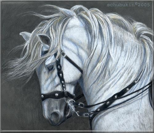 500x431 bolero drawing - Bolero Drawing