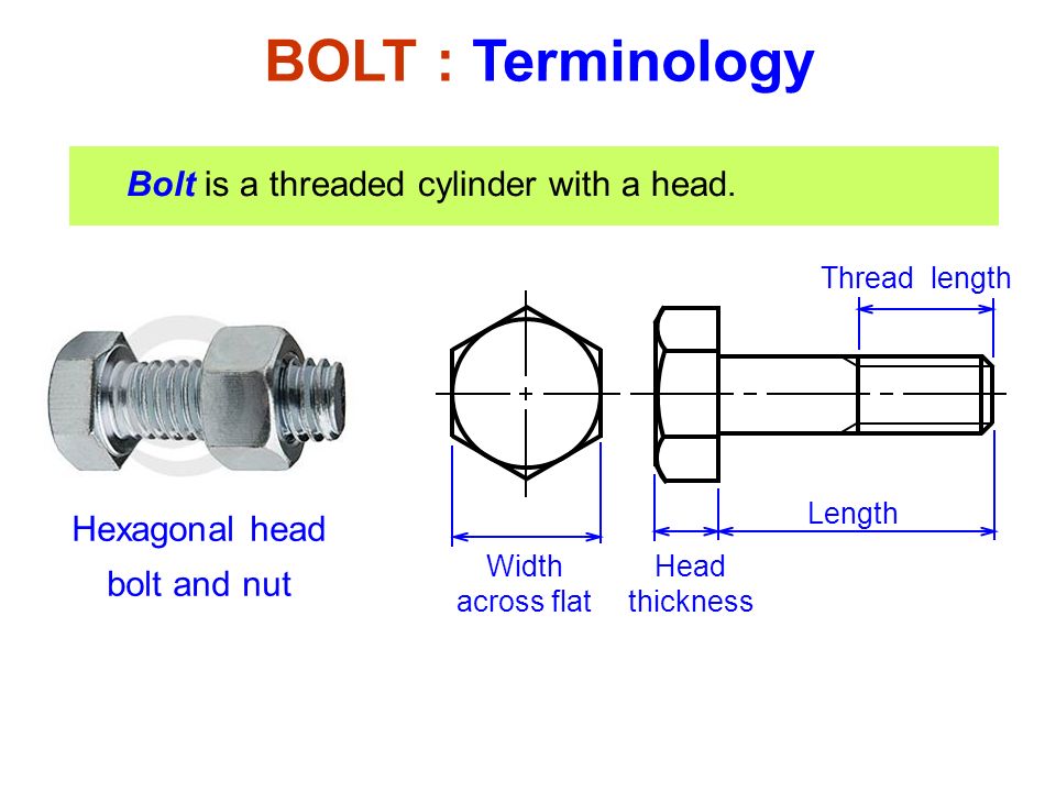 Bolt paintings search result at PaintingValley.com