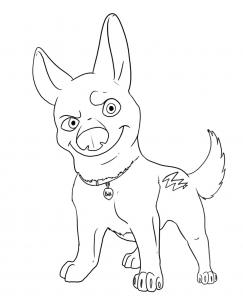 243x302 draw bolt, step - Bolt Drawing