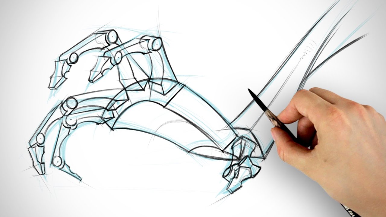 1280x720 How To Draw Hands - Bone Drawing