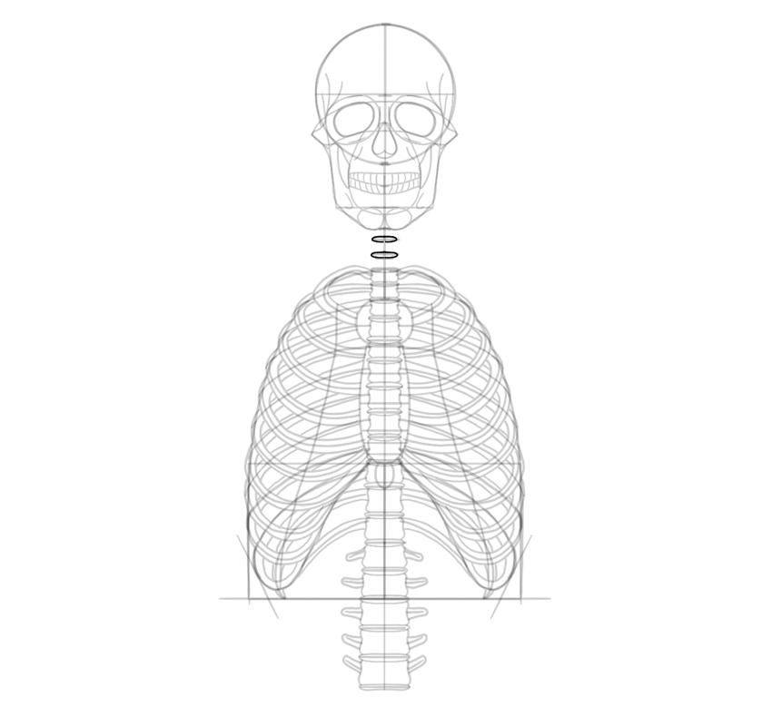 850x800 How To Draw A Skeleton Step - Bone Drawing