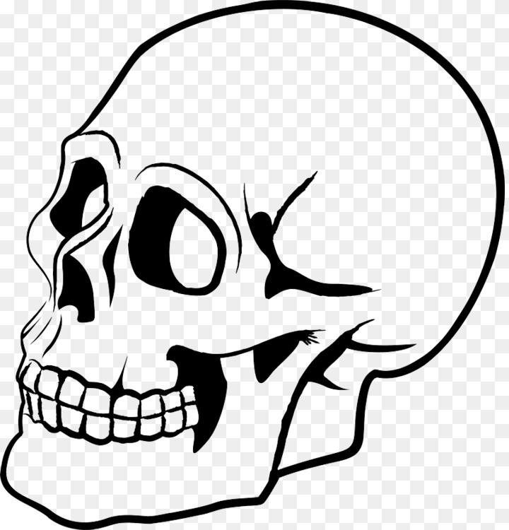 720x750 skull human skeleton drawing bone art cc0 - Bone Drawing