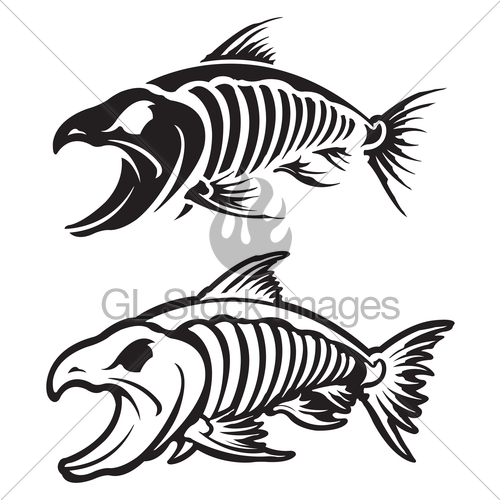 500x500 bone fish drawing - Bone Fish Drawing