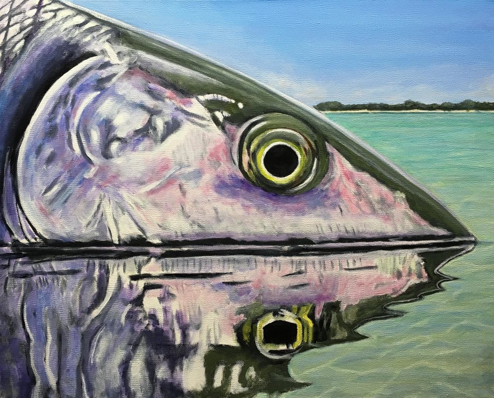 Bonefish Drawing at Explore collection of Bonefish