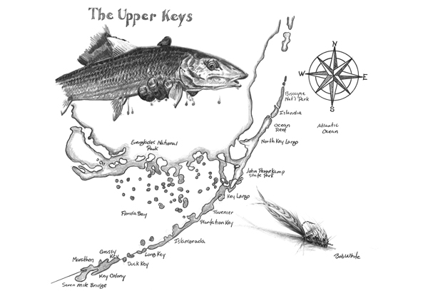 600x408 Friday Fish Frame Bob White - Bonefish Drawing