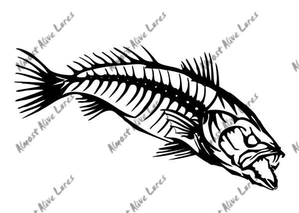 600x427 High Quality Vinyl Bonefish Decal - Bonefish Drawing