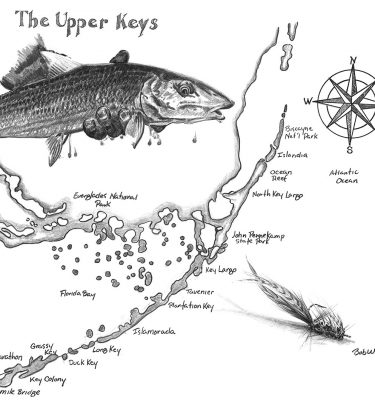 375x400 Bonefish Archives - Bonefish Drawing