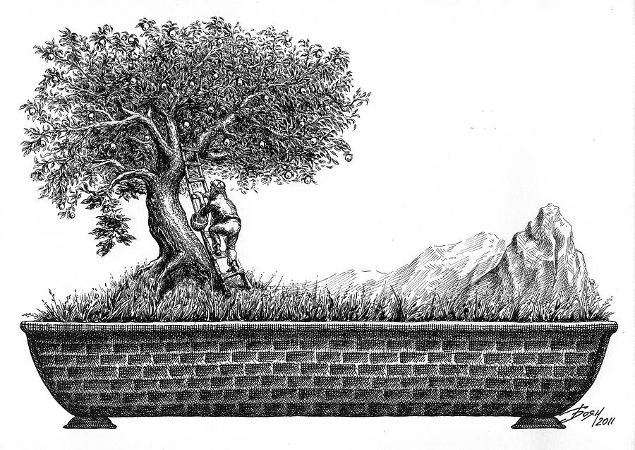 900x637 Bonsai Drawing - Bonsai Drawing