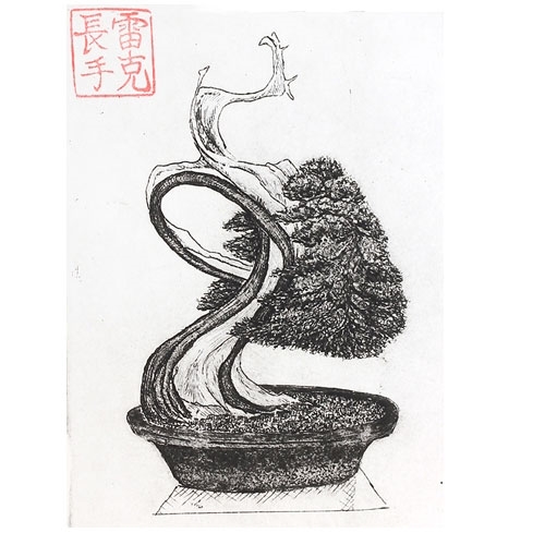 500x500 Bonsai Print Drawing - Bonsai Drawing