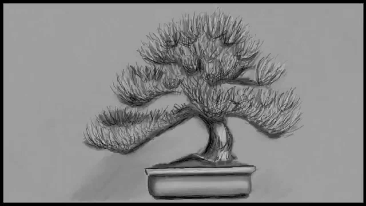 1280x720 Bonsai Tree Speed Draw - Bonsai Drawing