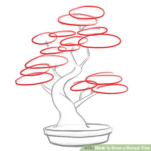 500x500 How To Draw A Bonsai Tree Steps - Bonsai Drawing