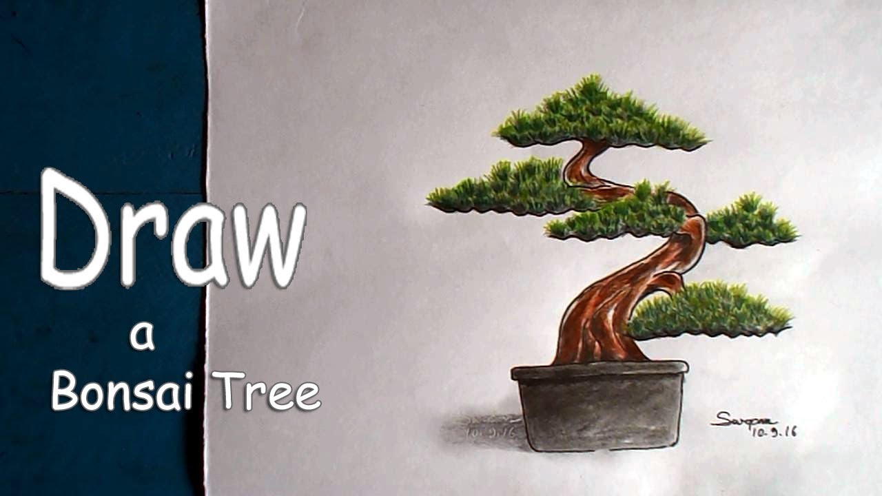 1280x720 How To Draw A Bonsai Tree With Pencil, Draw A Bonsai Tree, Step - Bonsai Drawing