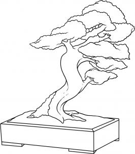266x302 How To Draw How To Draw A Bonsai Tree - Bonsai Drawing