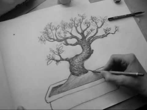 480x360 Bonsai - Bonsai Drawing