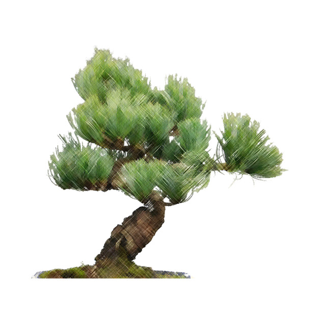 630x630 Bonsai Drawing - Bonsai Drawing