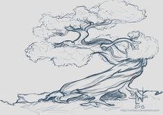 Bonsai Tree Drawing