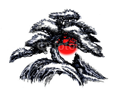 400x295 Bonsai Tree, Ink Drawing Buy Photos Ap Images Detailview - Bonsai Tree Drawing