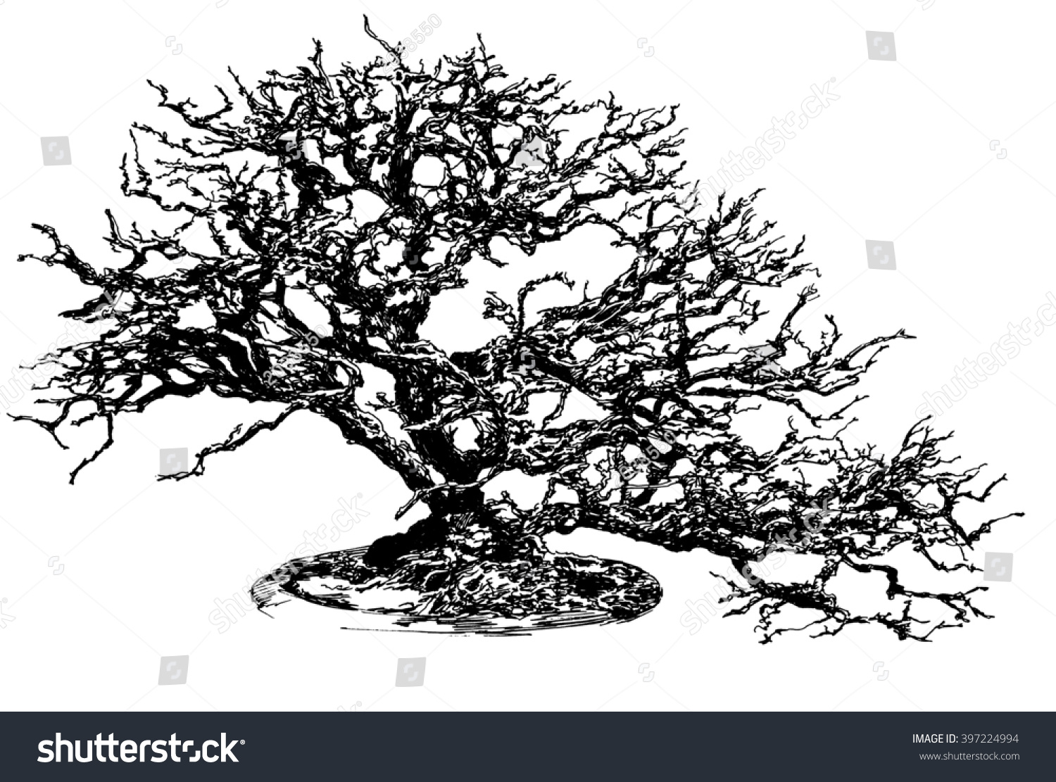 1500x1111 Abstract Bonsai Tree Drawings Bonsai Tree Black White Dashed Style - Bonsai Tree Drawing