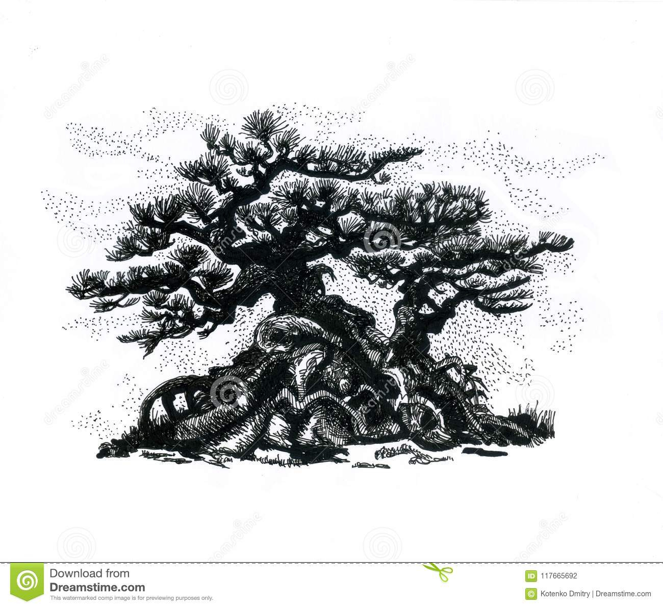 1300x1193 Abstract Bonsai Tree Drawings And Bonsai Tree, Drawing Stock - Bonsai Tree Drawing