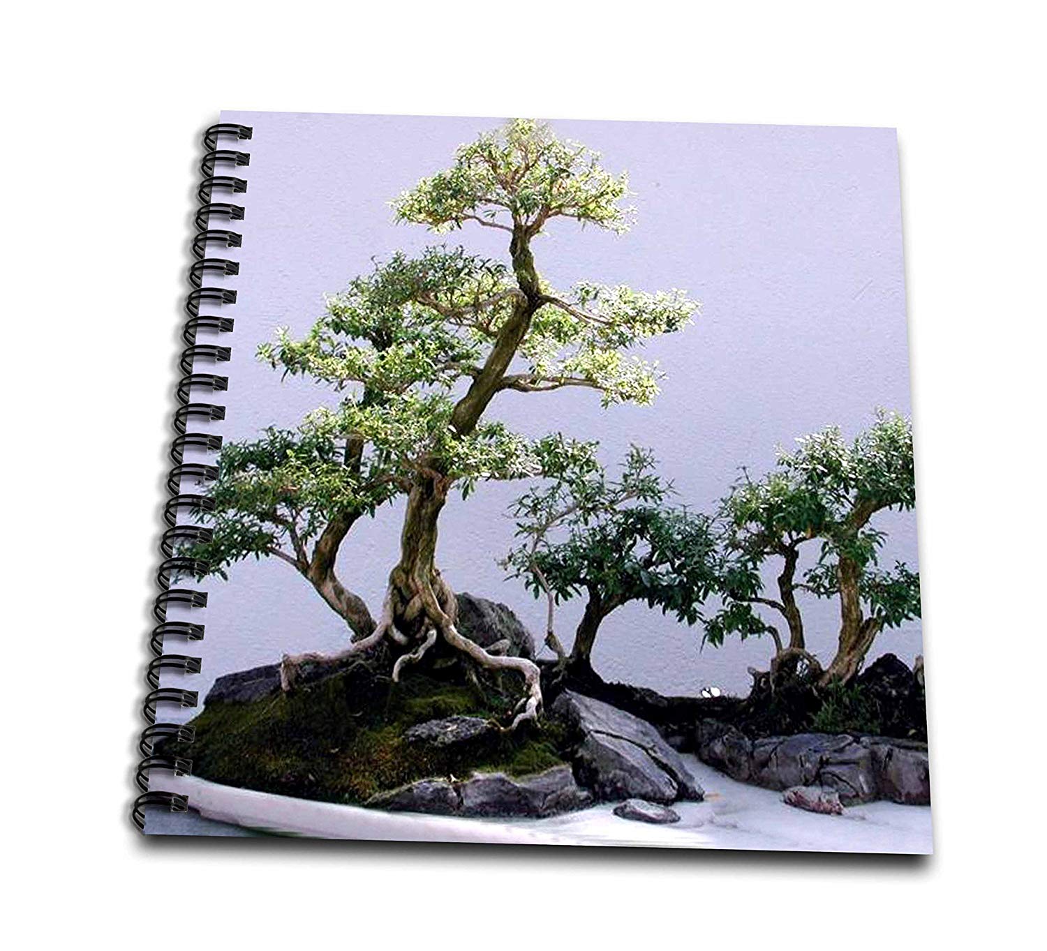 1500x1363 Trees - Bonsai Tree Drawing