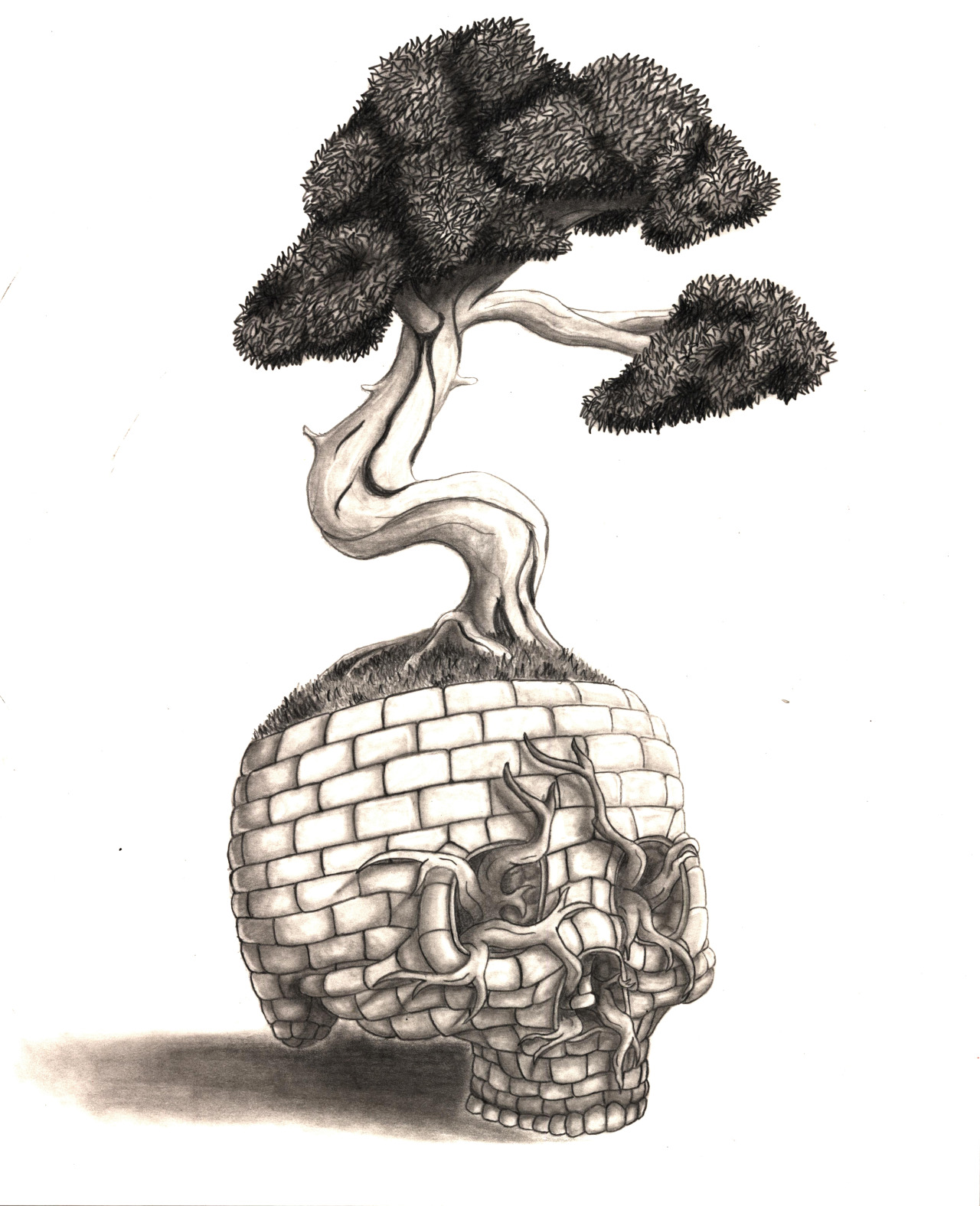 1280x1576 Art Of Full Sail This Texture Drawing Of A Bonsai Tree Emerging - Bonsai Tree Drawing