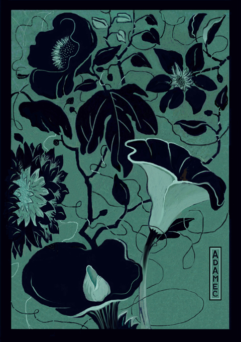 480x680 art - Boogie Board Drawing