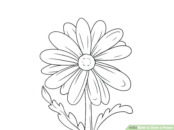 728x546 Drawing Of Flowers Book Easy Step - Book Easy Drawing