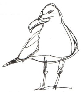 267x300 Drawing For The Terrified - Book Line Drawing