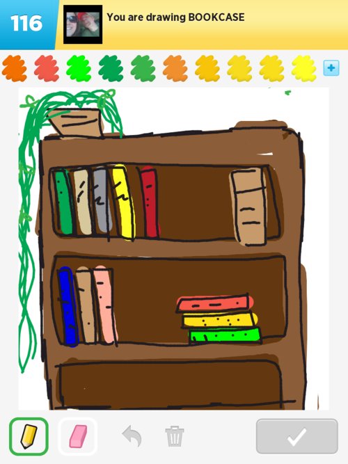500x667 bookcase drawings - Bookcase Drawing