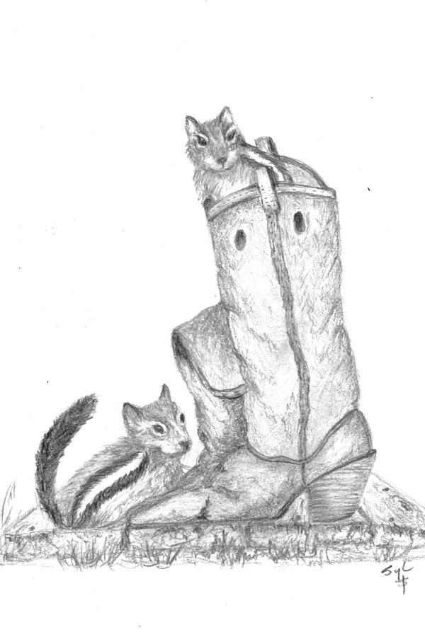 600x900 cowboy boot chipmunks drawing - Boots Drawing