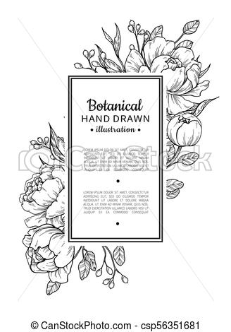 328x470 flower vintage border vector peony and roses botanical drawing - Border Drawing