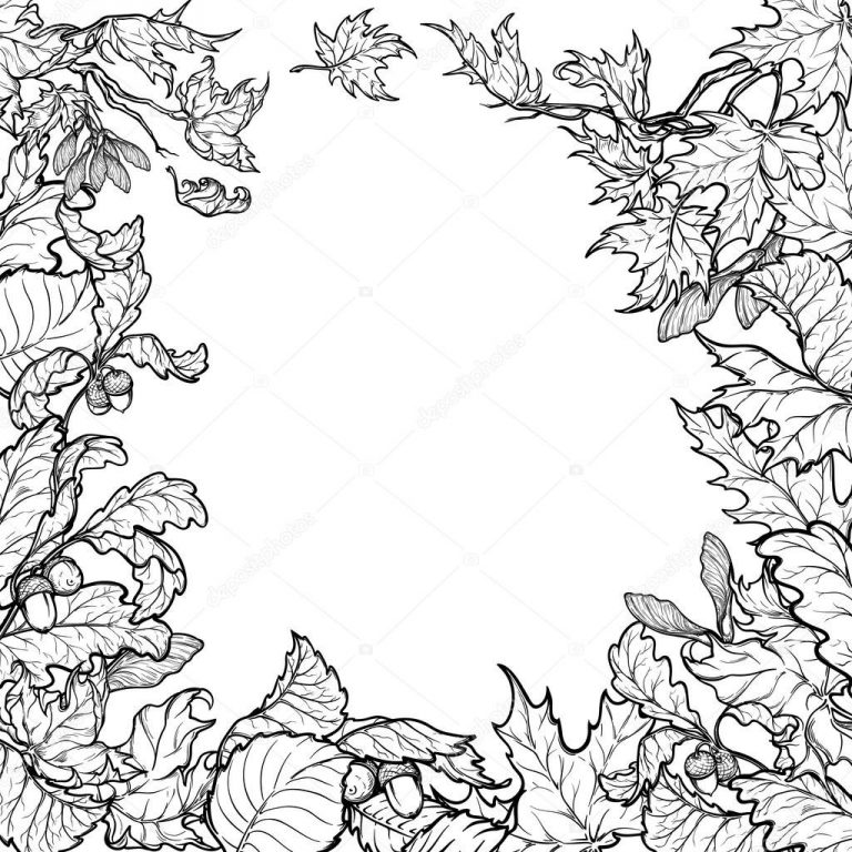 768x768 Border Drawing Photo Autumn Leaves Square Frame Black And White - Border Drawing