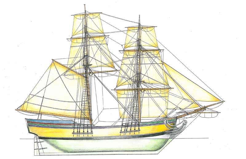 800x518 History Of The Brig Beaver - Boston Tea Party Ship Drawing