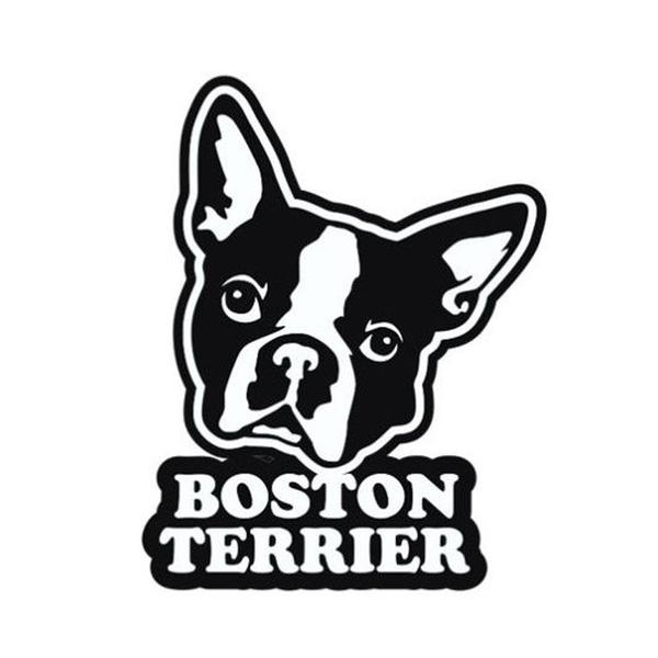 600x600 boston terrier car decalsticker boston terrier foundation - Boston Terrier Drawing
